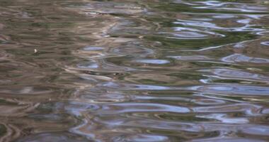 un' lento movimento di acqua superficie su il stagno video