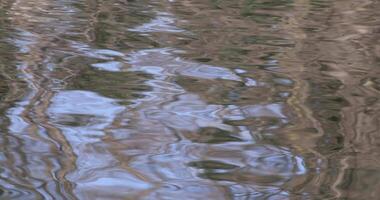 un' lento movimento di acqua superficie su il stagno video