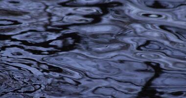 une lent mouvement de l'eau surface sur le étang video