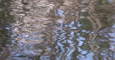 un' lento movimento di acqua superficie su il stagno video