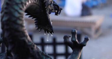 en staty av drake på rening fontän i japansk helgedom handhållen video