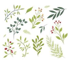 set of painted leaves, flowers, branches. flat cartoon elements. Vector illustration for the decoration of a bouquet, a postcard. set of elements