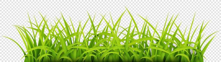 Sign with Text Space of Young Grass. Suitable For Nature Concept, Spring, and Summer Holiday, Vector Illustration