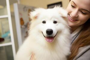 AI generated Veterinarian holding white dog for check-up and examining animals health in vet clinic photo