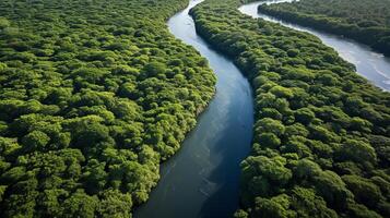 ai generado aéreo ver de denso verde mangle bosque. zumbido capturas co2 absorción por lozano arboles foto