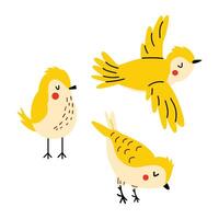 Vector cute bird. Yellow bird in different poses. Set with a bird. Hand drawn style. White isolated background.