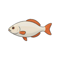 AI generated Fish Hand Drawn Cartoon Style Illustration png