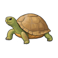 ai genererad sköldpadda hand dragen tecknad serie stil illustration png