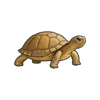 AI generated Tortoise Hand Drawn Cartoon Style Illustration png