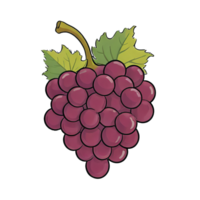 AI generated Grapes Hand Drawn Cartoon Style Illustration png