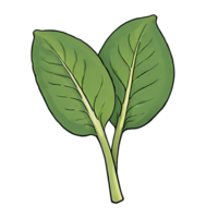 AI generated Spinach Hand Drawn Cartoon Style Illustration png