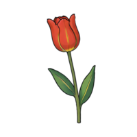 ai gegenereerd tulp hand- getrokken tekenfilm stijl illustratie png