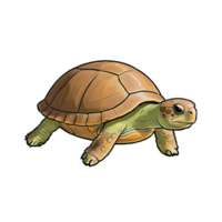 ai generato tartaruga mano disegnato cartone animato stile illustrazione png