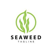 Seaweed Logo Design, Underwater Plant Design Illustrations, Cosmetics and Food Ingredient vector