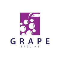 Grape Logo, Garden Vector, Fresh Purple Fruit, Wine Brand Design, Simple Illustration Template vector