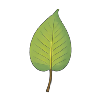 AI generated Leaf Hand Drawn Cartoon Style Illustration png