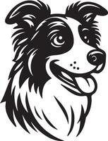 Border Collie Dog Illustration. vector