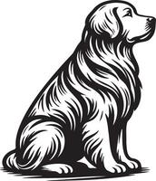 Golden Retriever Dog Illustration. vector