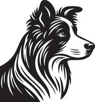 Border Collie Dog Illustration. vector