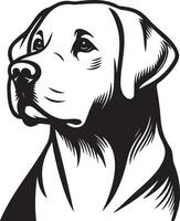 Labrador perdiguero perro ilustración. vector