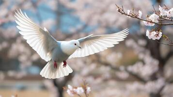 AI generated Flying dove in beautiful garden with blurred background, symbolizing peace and tranquility photo