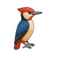 AI generated Woodpecker Hand Drawn Cartoon Style Illustration png