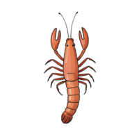 AI generated Prawn Hand Drawn Cartoon Style Illustration png