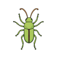 AI generated Weevil Hand Drawn Cartoon Style Illustration png