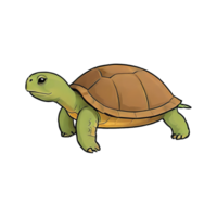 ai generado Tortuga mano dibujado dibujos animados estilo ilustración png