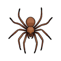 AI generated Tarantula Hand Drawn Cartoon Style Illustration png