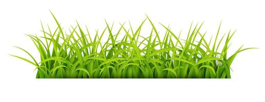 Sign with Text Space of Young Grass. Suitable For Nature Concept, Spring, and Summer Holiday, Vector Illustration