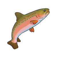 AI generated Trout Hand Drawn Cartoon Style Illustration png