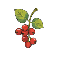 AI generated Red Berries Hand Drawn Cartoon Style Illustration png