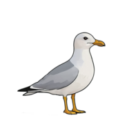 ai généré mouette main tiré dessin animé style illustration png