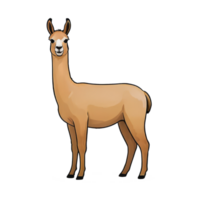 AI generated Llama Hand Drawn Cartoon Style Illustration png