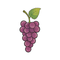 AI generated Grape Hand Drawn Cartoon Style Illustration png