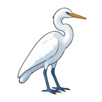 ai généré aigrette main tiré dessin animé style illustration png