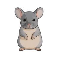 AI generated Chinchilla Hand Drawn Cartoon Style Illustration png