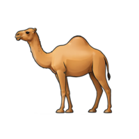 AI generated Camel Hand Drawn Cartoon Style Illustration png