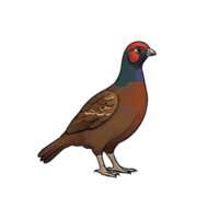 AI generated Grouse Hand Drawn Cartoon Style Illustration png
