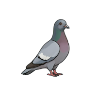 AI generated Pigeon Hand Drawn Cartoon Style Illustration png