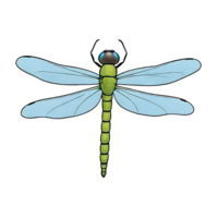 AI generated Dragonfly Hand Drawn Cartoon Style Illustration png