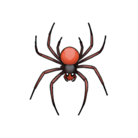 AI generated Spider Hand Drawn Cartoon Style Illustration png