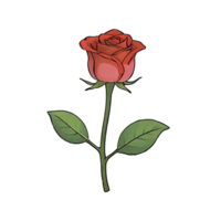 AI generated Rose Hand Drawn Cartoon Style Illustration png