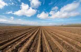 AI generated Ploughed field and blue sky with clouds photo