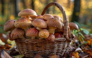AI generated Mushrooms in basket in the autumn forest photo