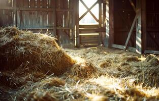 AI generated Hay bales in the barn. A pile of hay in the barn photo