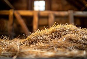 AI generated Hay is pile of dry grass in the barn photo