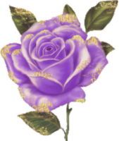 bloem vormen geïsoleerd over- transparant achtergrond, bloemen clip art PNG illustratie