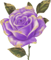 bloem vormen geïsoleerd over- transparant achtergrond, bloemen clip art PNG illustratie